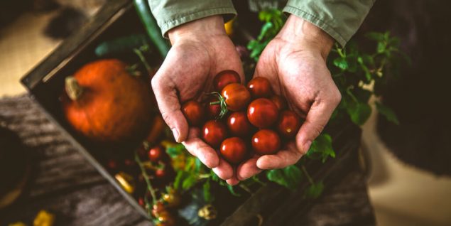 warehouse cleaning fruit and veg production