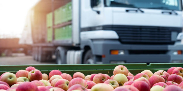 Food and Beverage Logistics How Does the Industry Work?